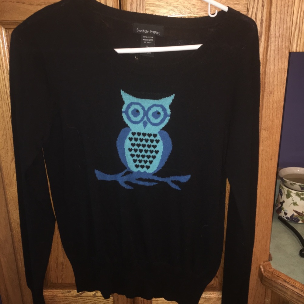 Owl Sweater by Sweater Project